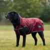 equineworldstore (161) WeatherBeeta ComFiTec Premier Deluxe Waterproof Dog Coat
