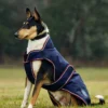 equineworldstore (163) WeatherBeeta ComFiTec Premier Deluxe Waterproof Dog Coat