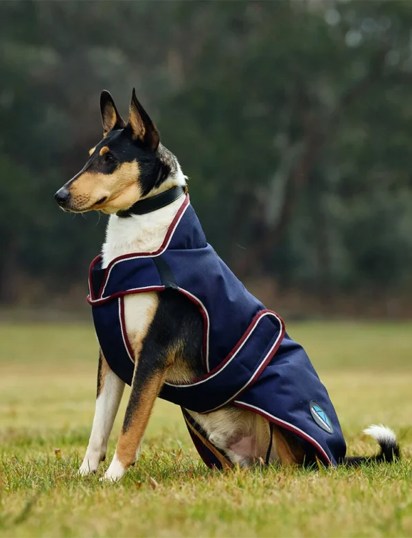 equineworldstore (163) WeatherBeeta ComFiTec Premier Deluxe Waterproof Dog Coat