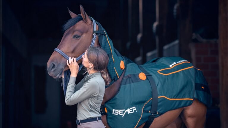 5 Critical Things to Check Before Buying a Used BEMER Horse-Set