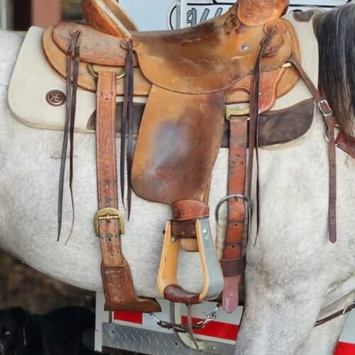 Billy Cook wade saddle 
Columbia Falls MT