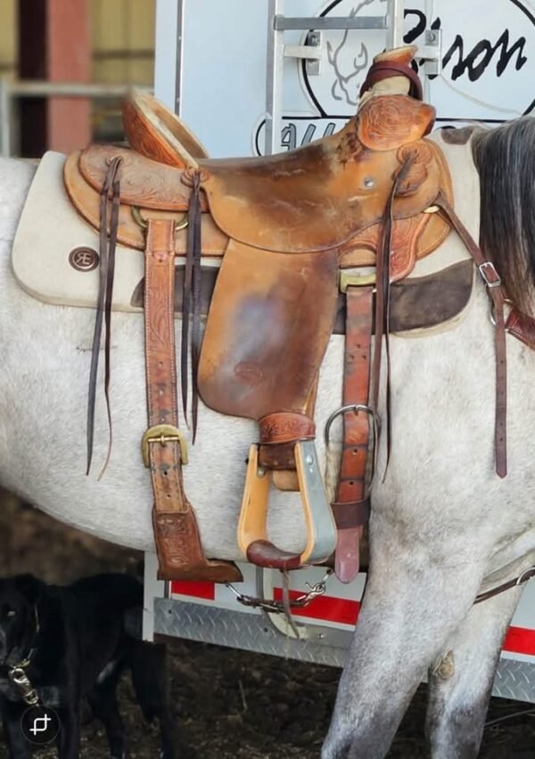 Billy Cook wade saddle 
Columbia Falls MT